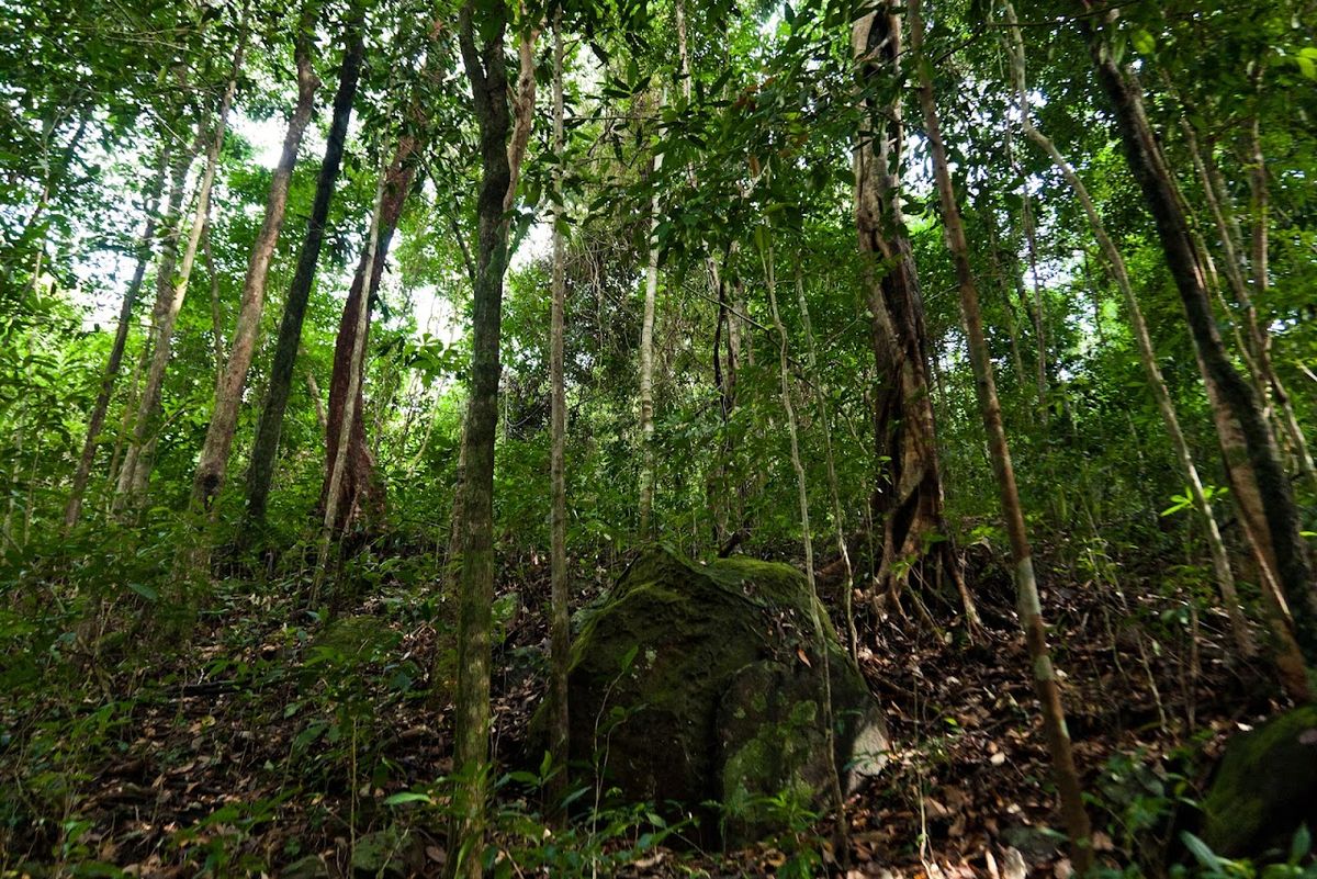Phu Quoc National Park, Phu Quoc