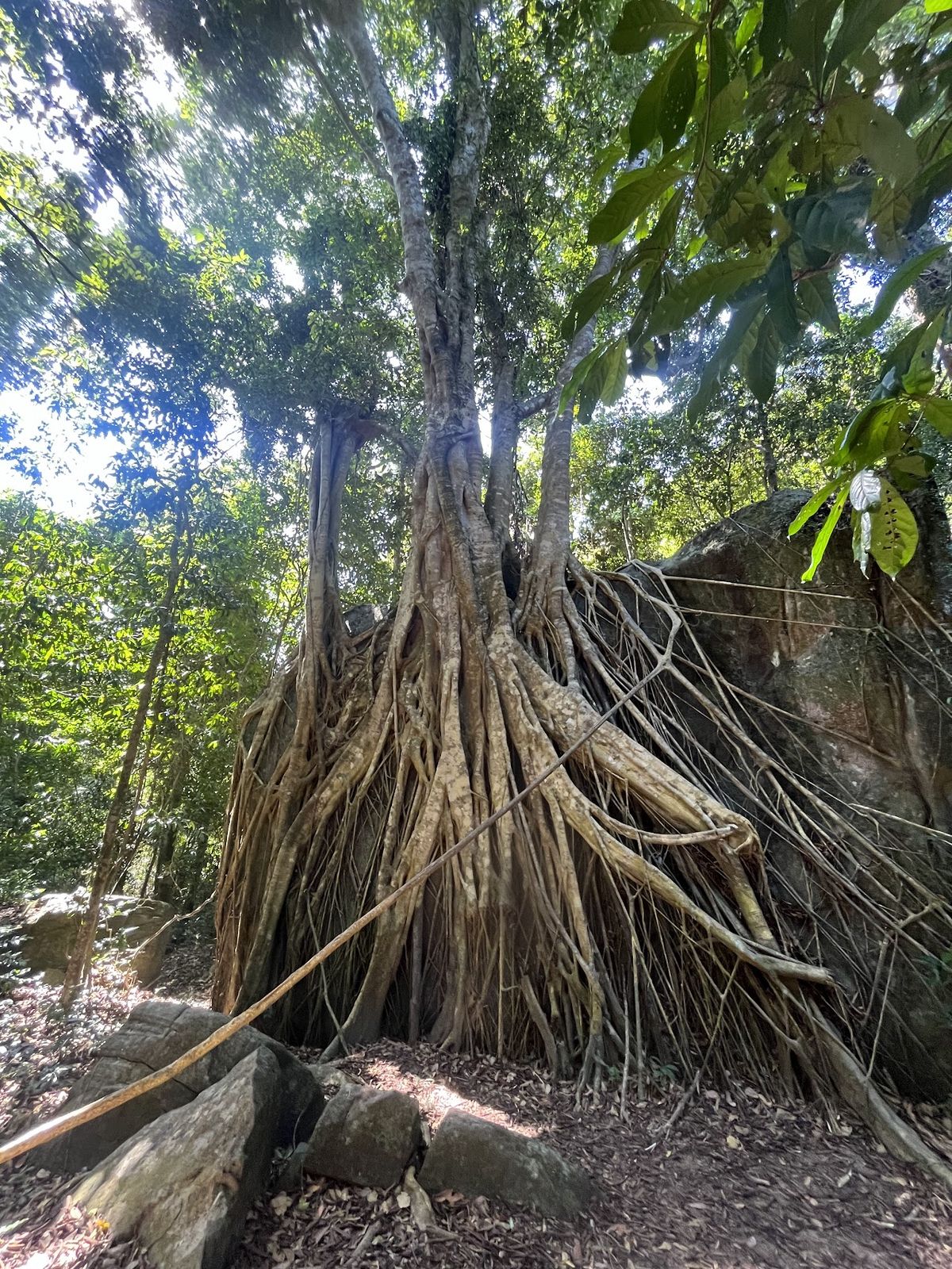 Tiên Sơn Đỉnh, Phu Quoc